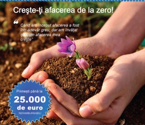 startup negresti oas